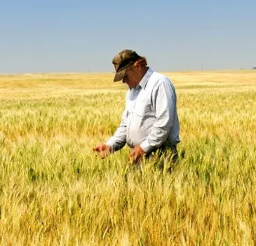 Productor Agropecuario